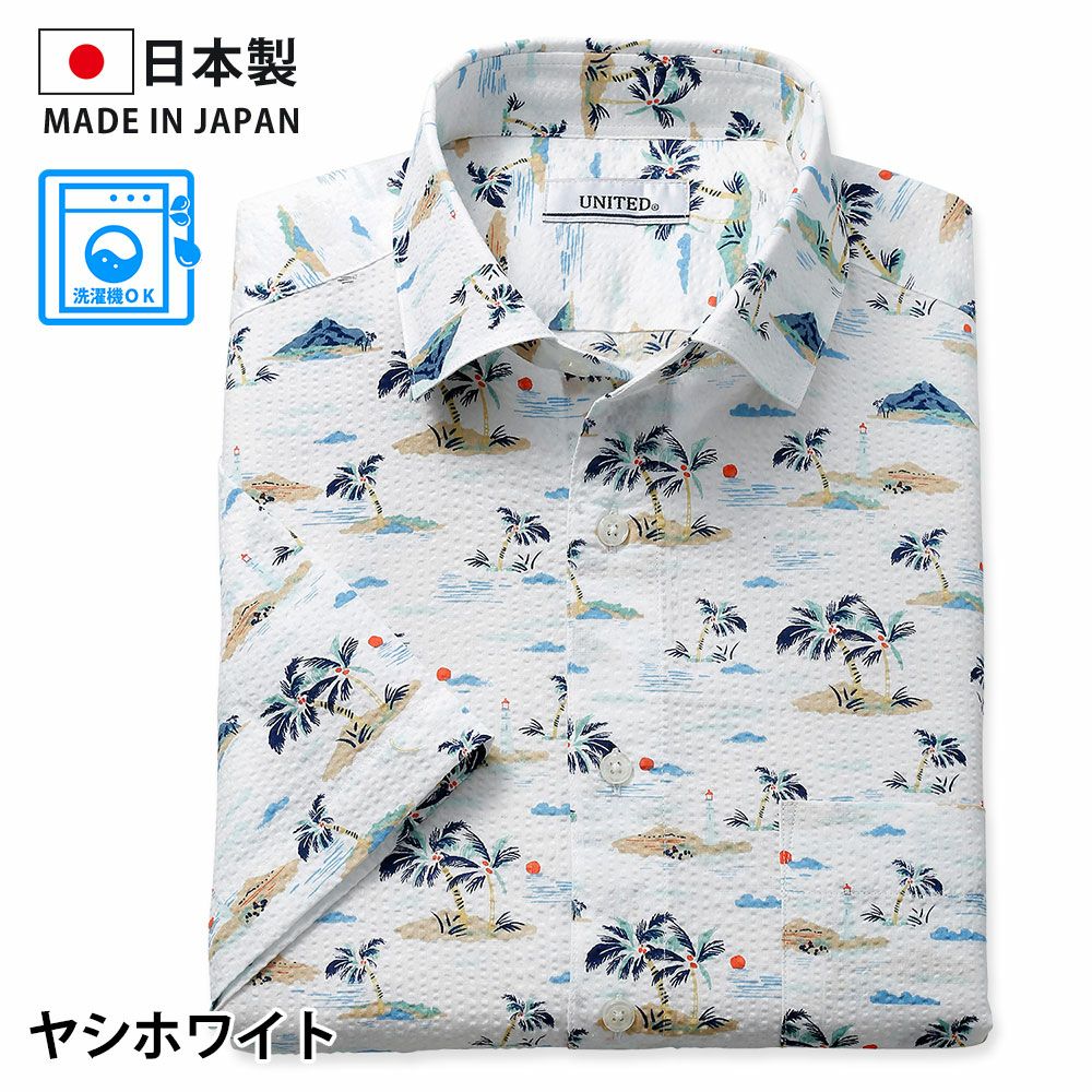 ヤシホワイト