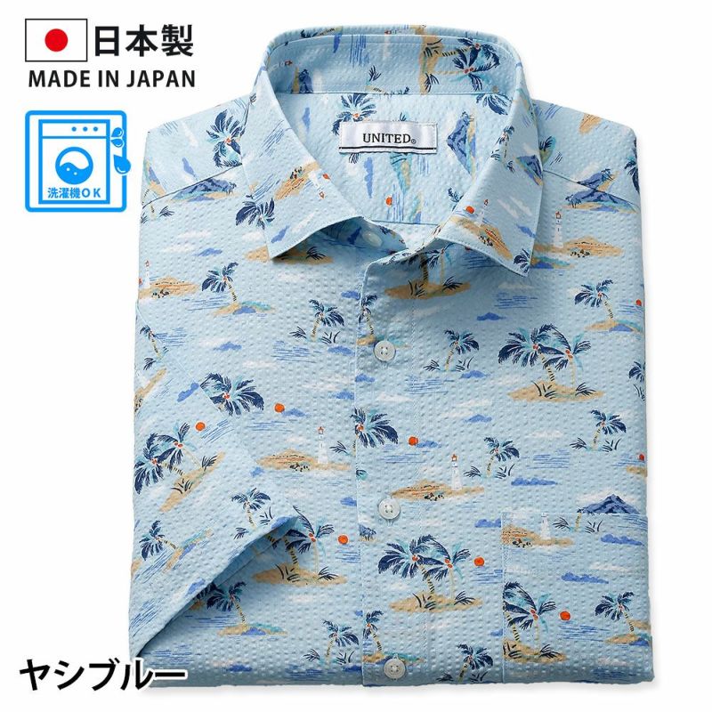 ヤシブルー
